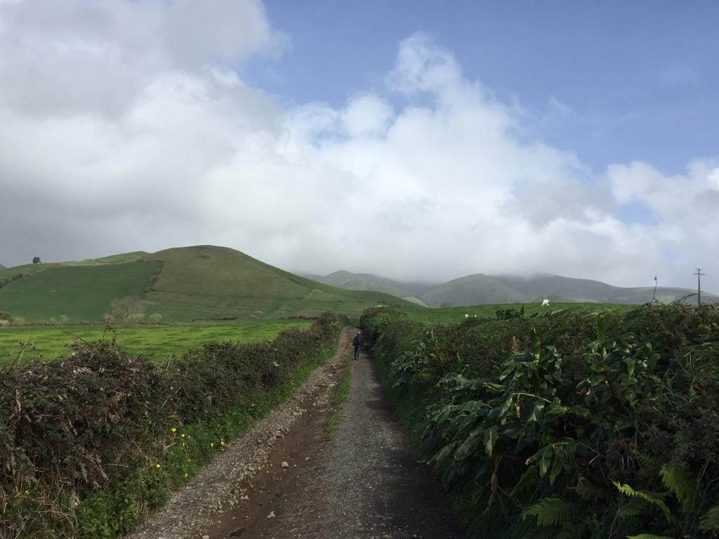 This image has an empty alt attribute; its file name is image-110.png