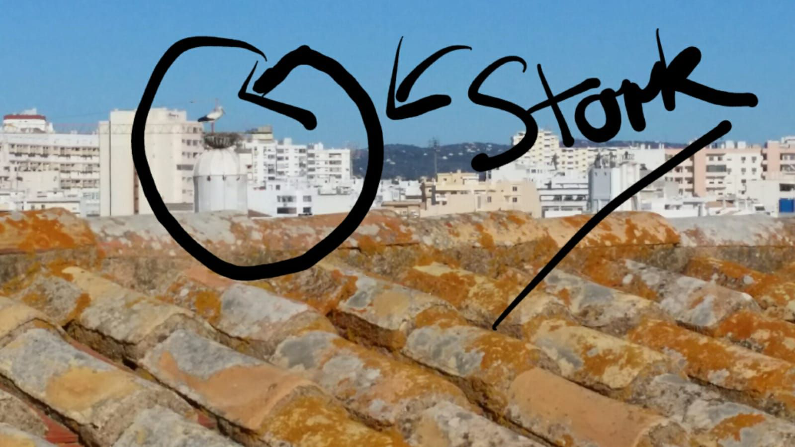 This image has an empty alt attribute; its file name is image-16.png