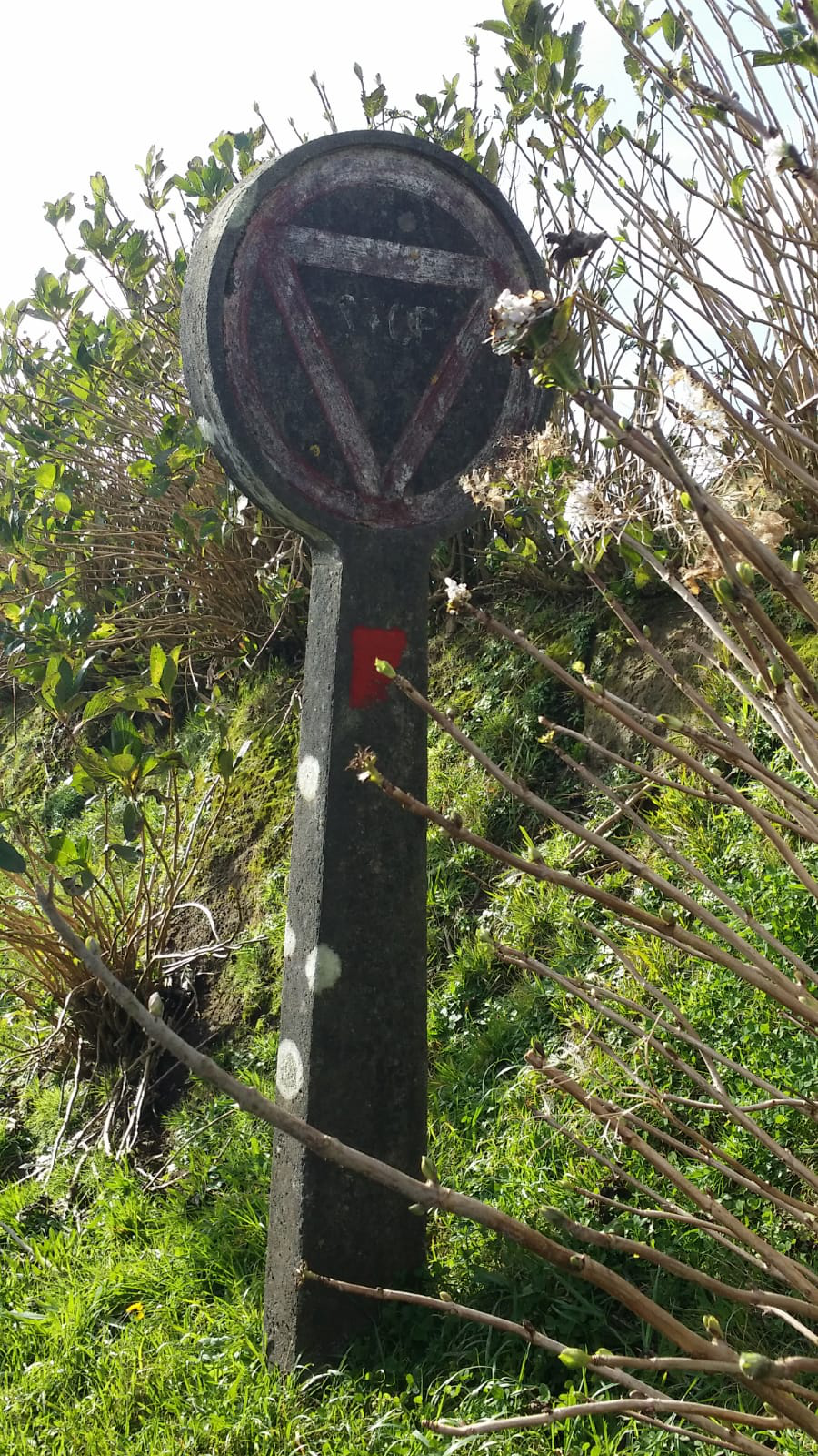 This image has an empty alt attribute; its file name is image-48.png